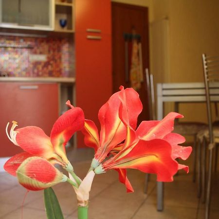 Bed and Breakfast Pisa Town Екстер'єр фото