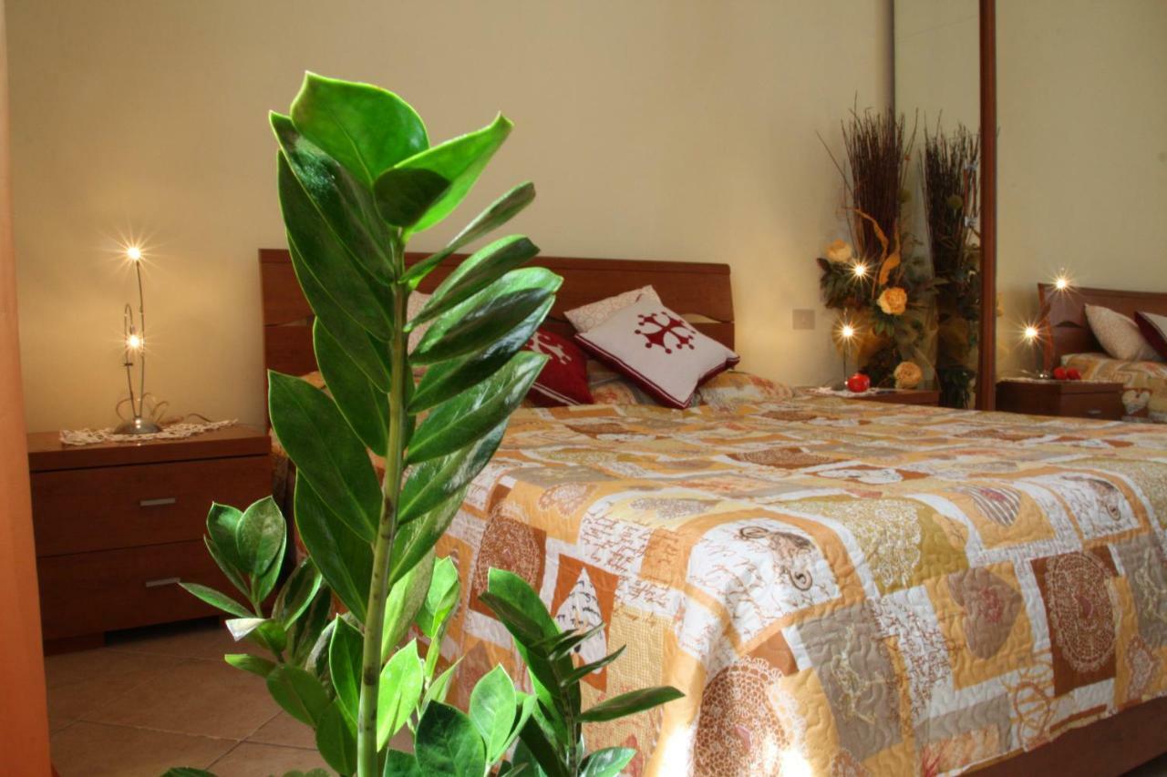 Bed and Breakfast Pisa Town Екстер'єр фото