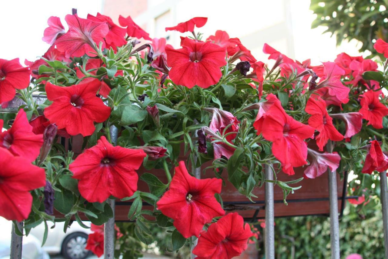 Bed and Breakfast Pisa Town Екстер'єр фото