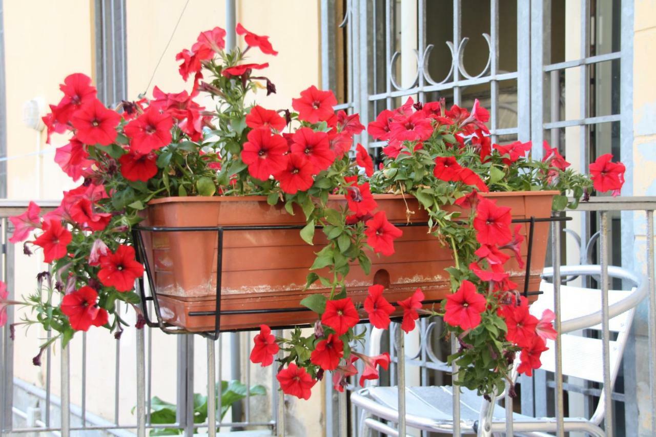 Bed and Breakfast Pisa Town Екстер'єр фото