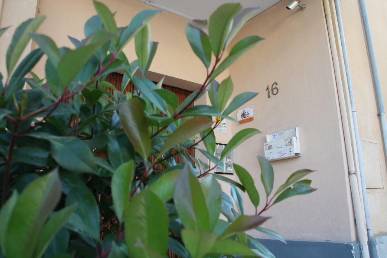 Bed and Breakfast Pisa Town Екстер'єр фото