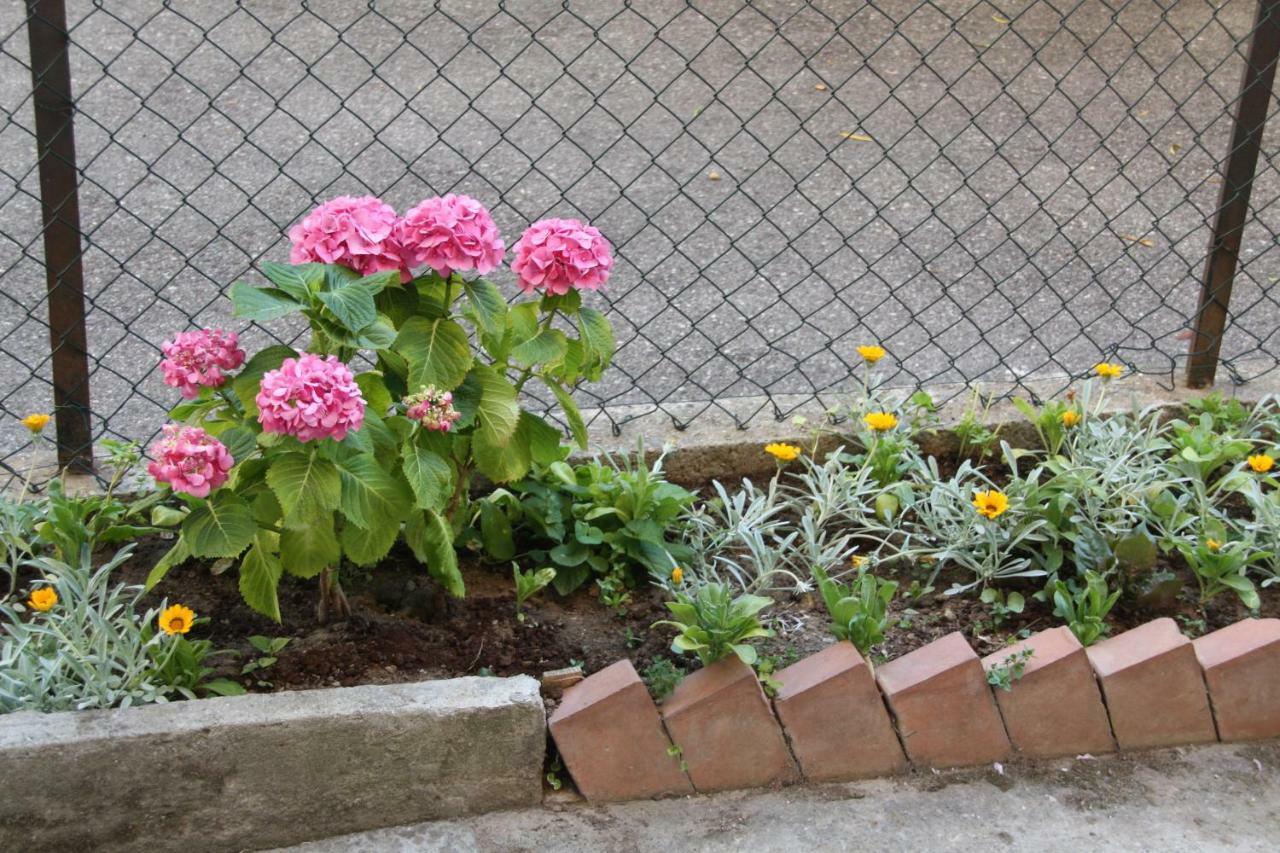 Bed and Breakfast Pisa Town Екстер'єр фото